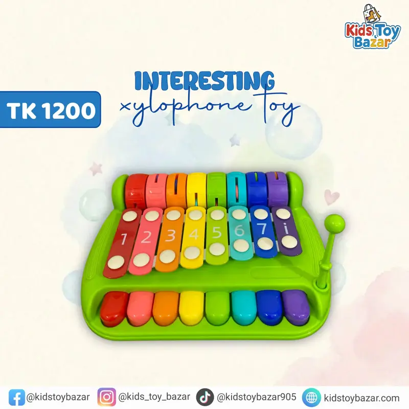 Interesting Xylophone Toy